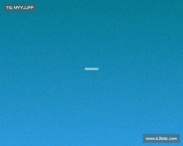 李宗伟经典比赛视频